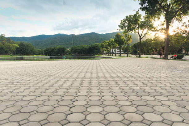 Best Local Driveway Pavers  in Jourdanton, TX
